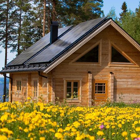 Blockhaus Am See - Komfort Umgeben Von Natur! Nalden Εξωτερικό φωτογραφία